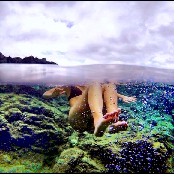 Meet your Posher, Sophia - Picture 4 of 7